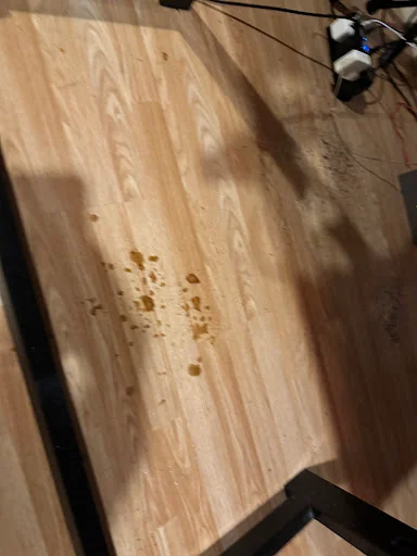 Platinum Cleaning Services photo 2