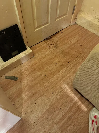 Platinum Cleaning Services photo 7