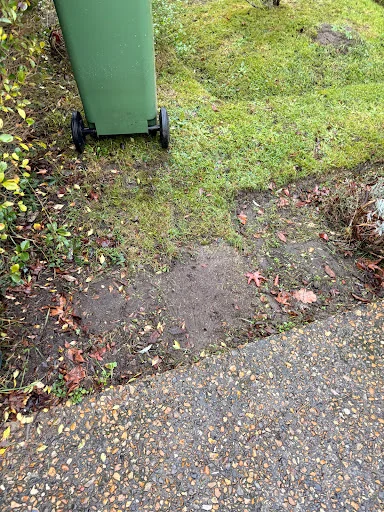 Terrain Surrey photo 8