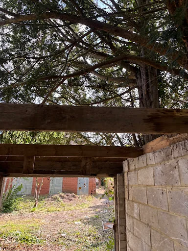 Number One Asbestos Go photo 1