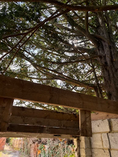 Number One Asbestos Go photo 2