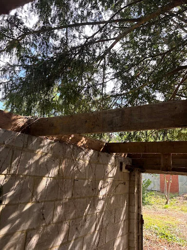 Number One Asbestos Go photo 4