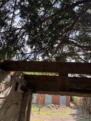 Number One Asbestos Go photo 7