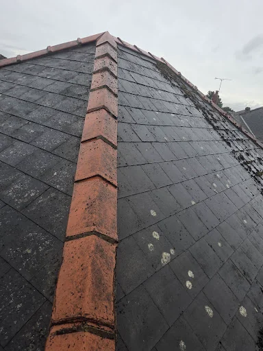 Mp exterior cleaning services photo 2