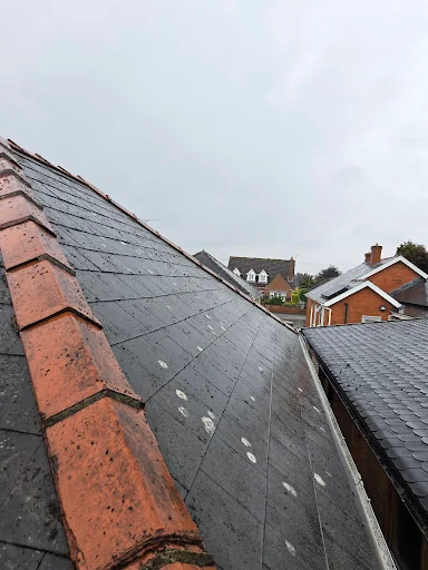 Mp exterior cleaning services photo 3