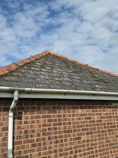 Mp exterior cleaning services photo 4