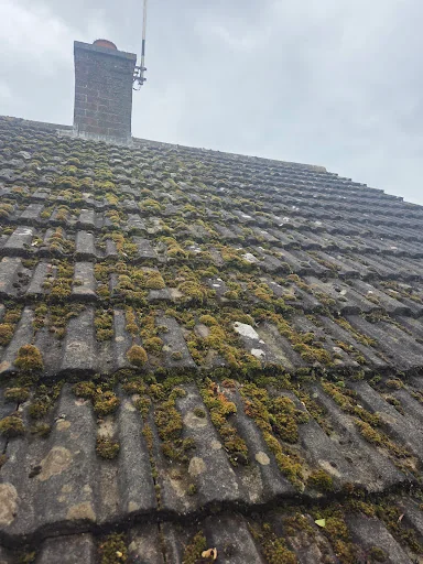 Mp exterior cleaning services photo 8