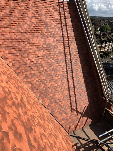 Terse Build Ltd photo 5