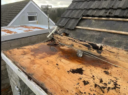 Torfaen Roofing Services photo 6