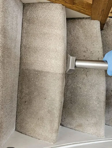Unique carpet clean photo 1