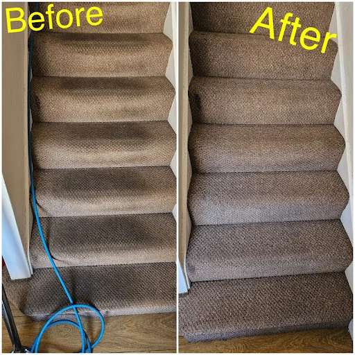 Unique carpet clean photo 2