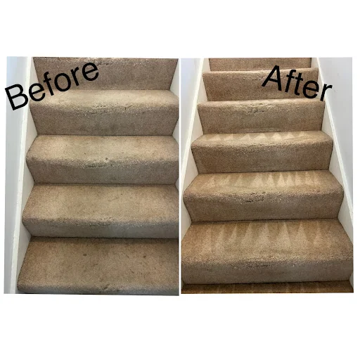 Unique carpet clean photo 3