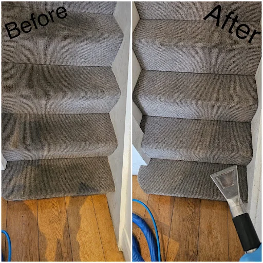 Unique carpet clean photo 4