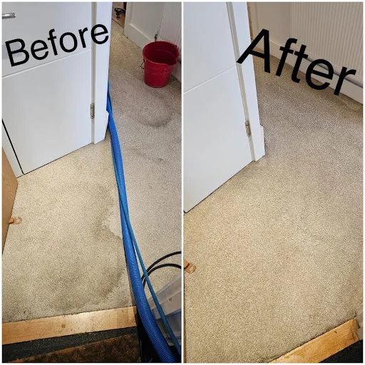 Unique carpet clean photo 5