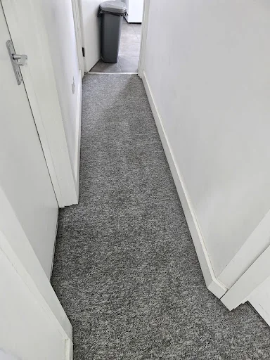 Unique carpet clean photo 8