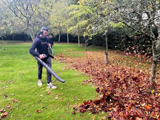GOLDENLEAF photo 3
