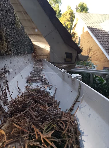 CJH property management photo 4