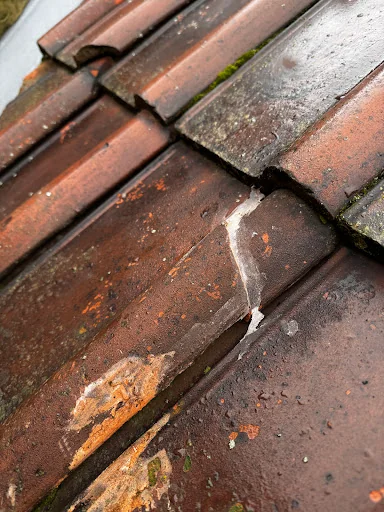 SMITH CONSTRUCTION NE LTD photo 2