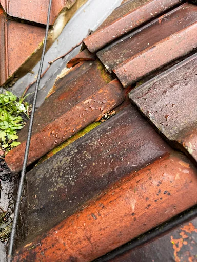 SMITH CONSTRUCTION NE LTD photo 3