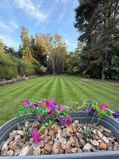My Guys photo 1