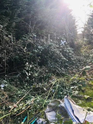 Quick Clear Waste photo 1