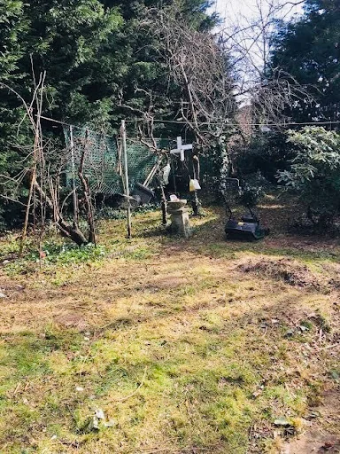 Quick Clear Waste photo 2