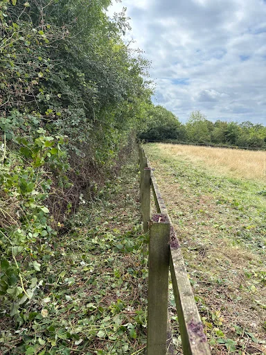 Sjp Tree Services Ltd photo 5