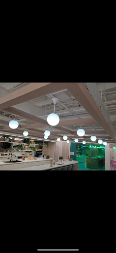 Mantech Electrical photo 1