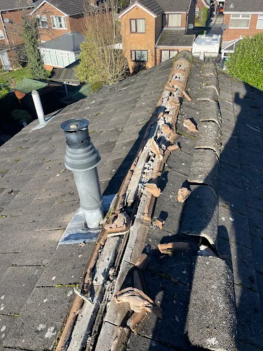 Artisan Roofing and Guttering photo 7