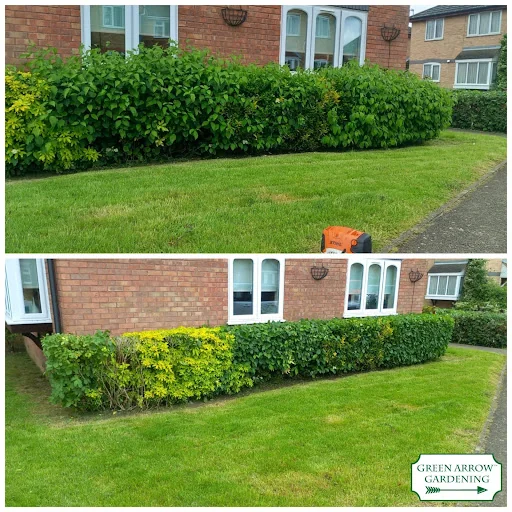 GREEN ARROW GARDENING LTD photo 2