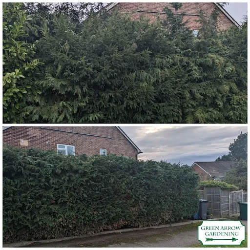 GREEN ARROW GARDENING LTD photo 3