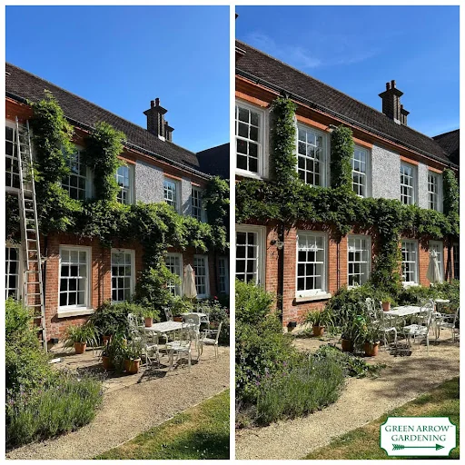GREEN ARROW GARDENING LTD photo 4