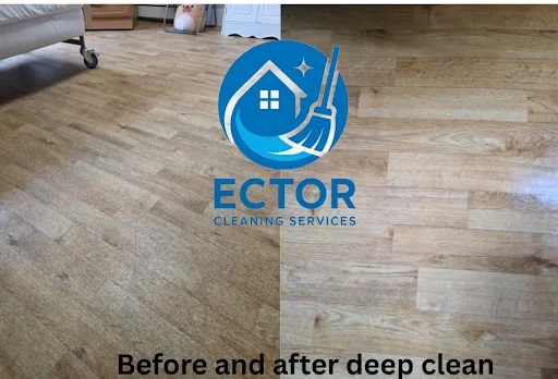 Ector cleaning services photo 1