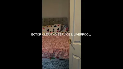 Ector cleaning services photo 7
