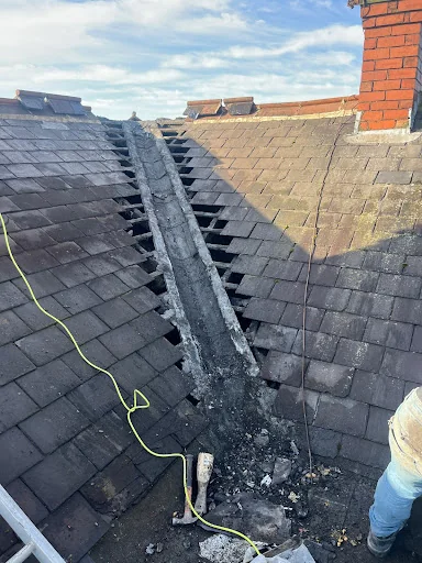 White Rose Roof Care photo 1