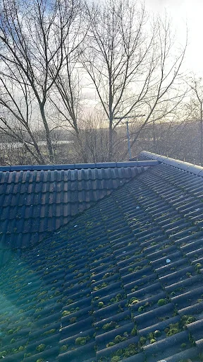 White Rose Roof Care photo 6