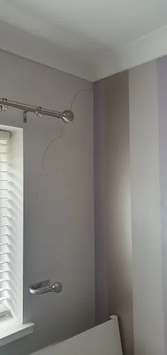 TrueLine Plastering &amp; Painting photo 4