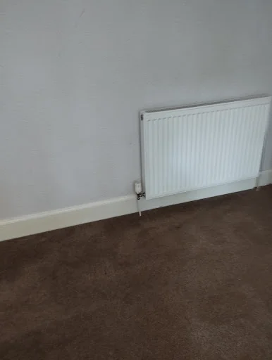 EC CLEANING SERVICES photo 6