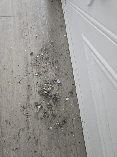Revival Cleaning Services Ltd photo 5
