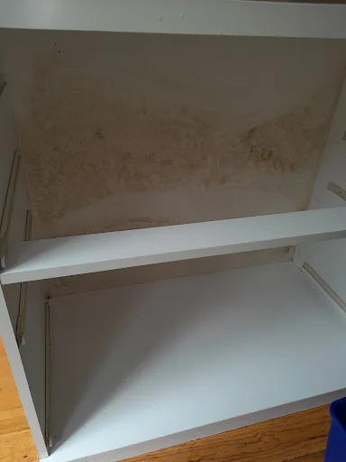 CUEVAS GLEAMING SERVICE LTD photo 8