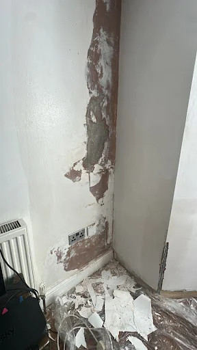 Finished Edge Plastering photo 4