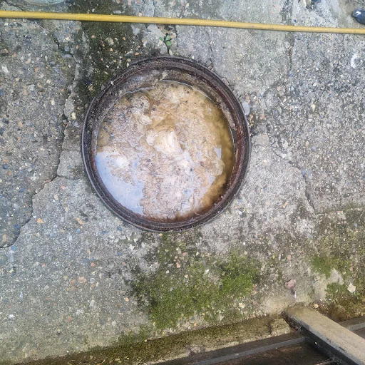 Alex Drain North photo 3