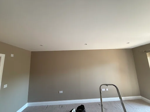 BODINI PAINTING&amp;DECORATING LTD photo 3
