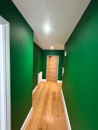 BODINI PAINTING&amp;DECORATING LTD photo 5