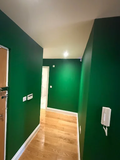 BODINI PAINTING&amp;DECORATING LTD photo 6