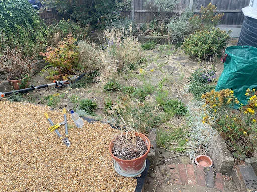 Local garden service (Abbey Wood) photo 2