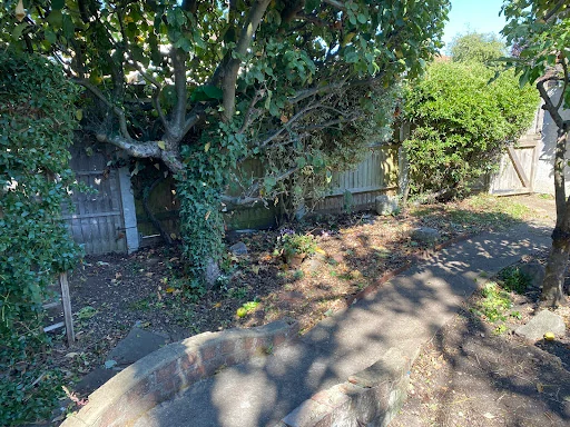 Local garden service (Abbey Wood) photo 8