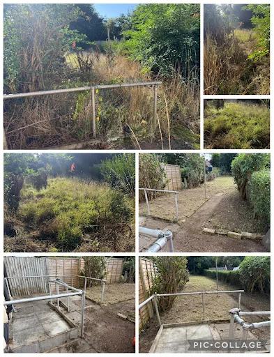 Rubbish To Roots Maintenance Services photo 8