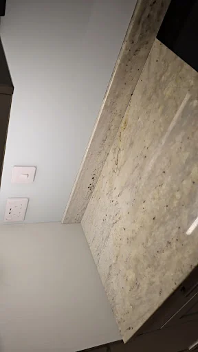 Somaechez Cleaning and Garden Services Limited photo 5