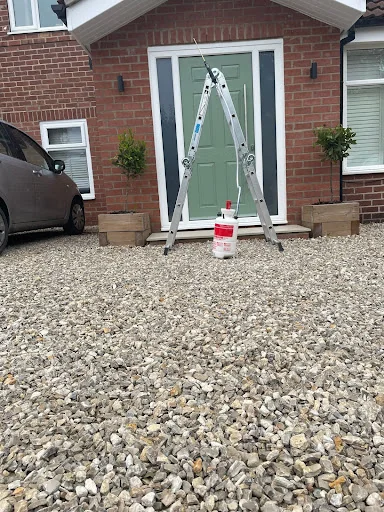 Bite Back Pest Control LTD photo 2